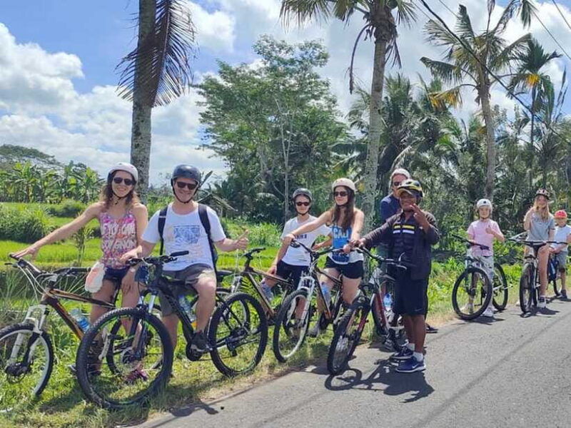 kintamani-to-ubud-downhill-cycling-tour