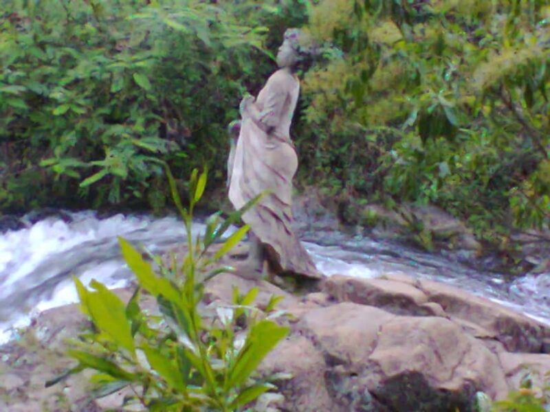 Kinuka Mori: Cultural and Nature day Trip with Lunch - Discovering the Beauty of Kinuka Mori