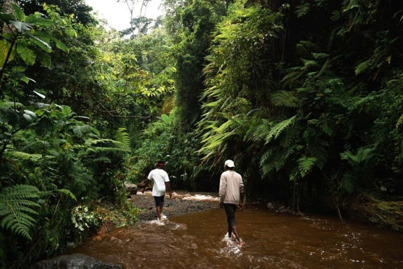 Kinuka Mori: Cultural and Nature day Trip with Lunch - Exploring Kinuka Mori’s Trails and Forests