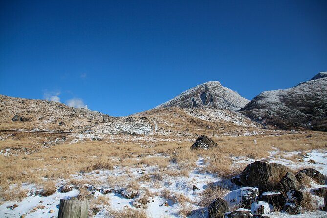 Kirishima Highlights from Kagoshima Port by Private Car - Final Thoughts