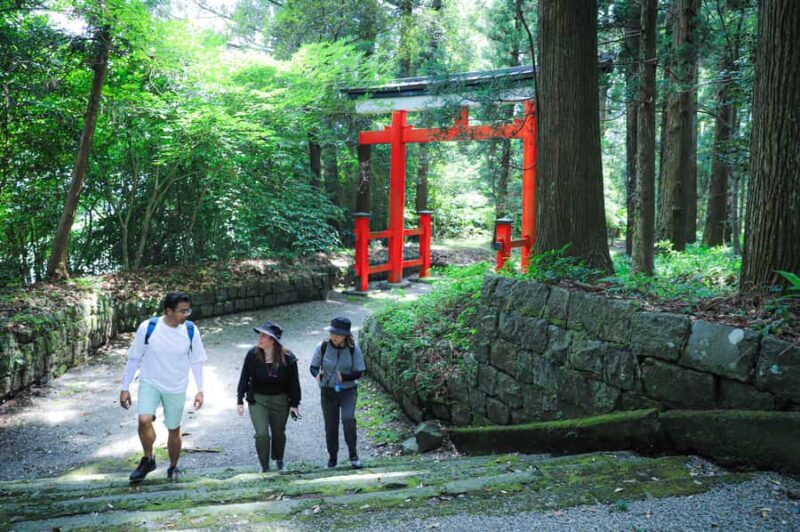 Kirishima: Shrine Ritual, Hike, & Bento Lunch - Sano Shrine and Its Approach (55 minutes)