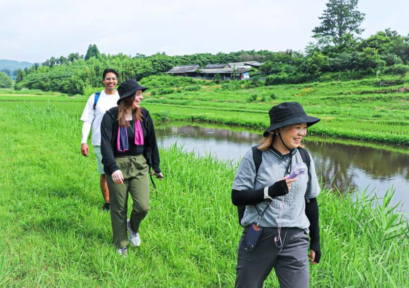 Kirishima: Shrine Ritual, Hike, & Bento Lunch - Final Thoughts