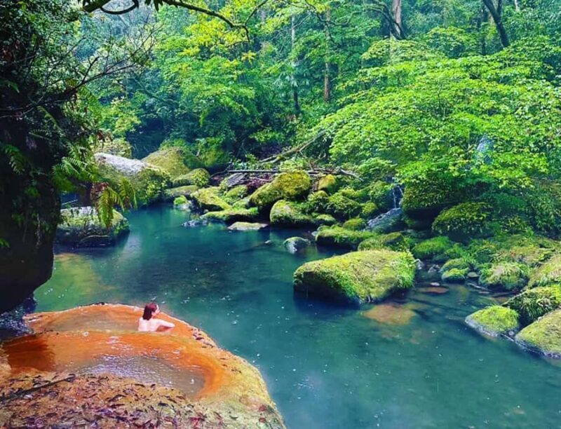 Kirishima: Wild Hot Spring in Bamboo Forest - Key Points