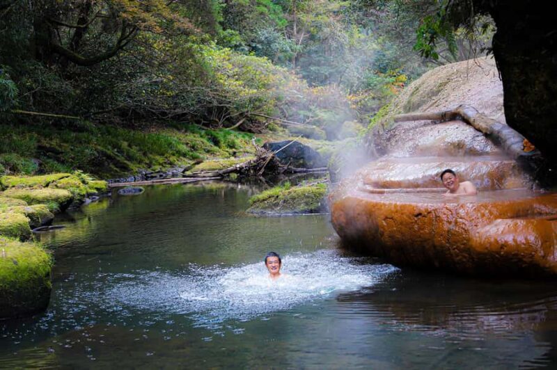 Kirishima: Wild Hot Spring in Bamboo Forest - An In-Depth Look at the Tour Experience