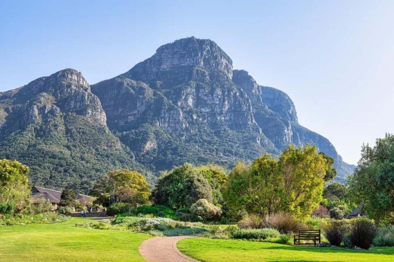 Kirstenbosch Botanical Garden and Constantia Wine Region - An In-Depth Look at the Tour Experience