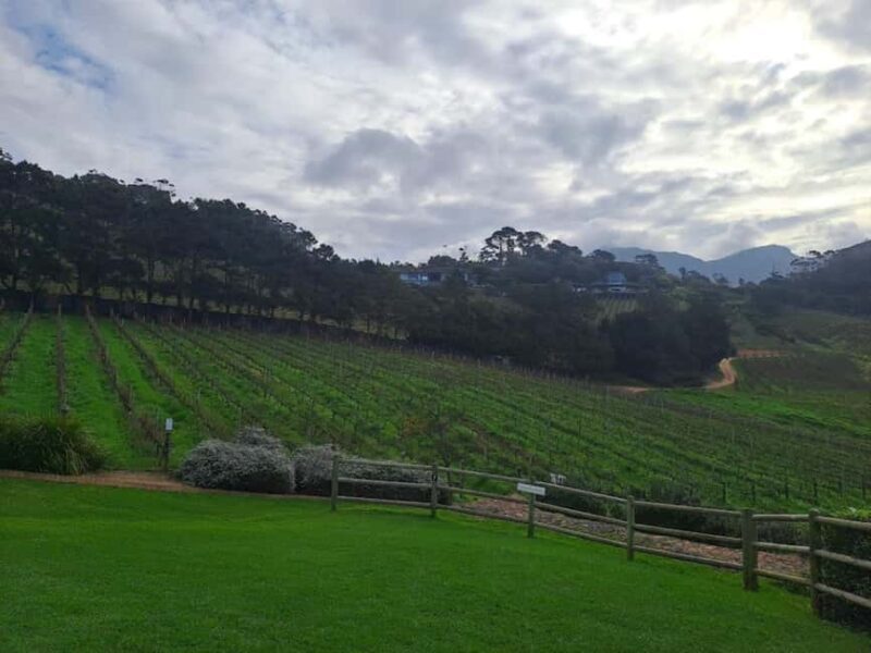 Kirstenbosch Botanical Garden and Constantia Wine Region - Who Will Love This Tour?