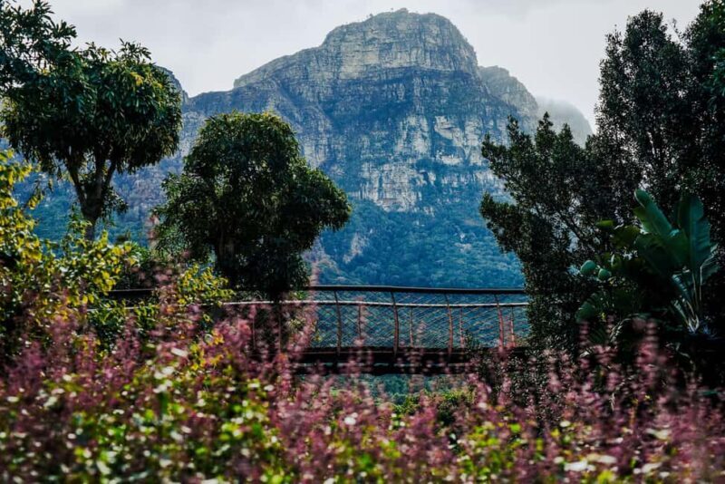 Kirstenbosch Botanical Garden & Constantia Wine Valley Tour - Practical Details and What You Should Know