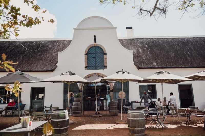 Kirstenbosch Botanical Garden & Constantia Wine Valley Tour - Authentic Experiences and Insights from Reviewers