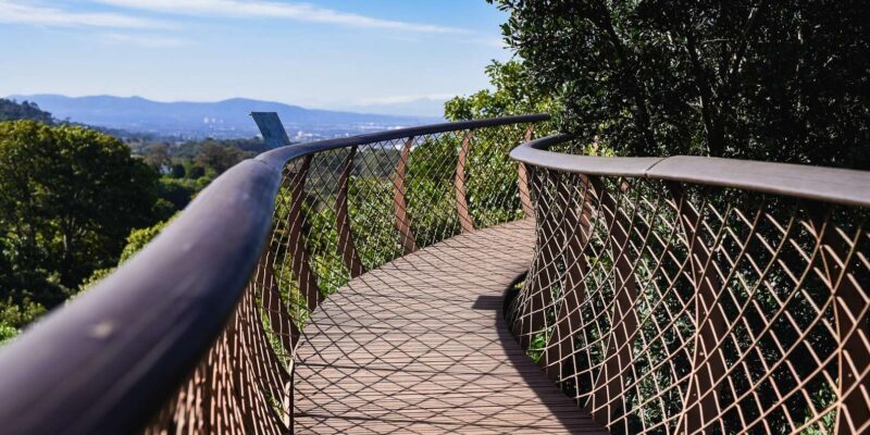 Kirstenbosch Botanical Garden & Constantia Wine Valley Tour - Who Should Consider This Tour?