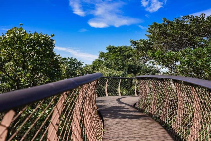 Kirstenbosch Botanical Garden & Constantia Wine Valley Tour - The Sum Up