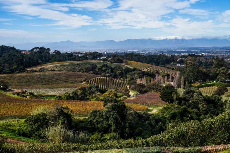 Kirstenbosch Botanical Garden & Constantia Wine Valley Tour - FAQ