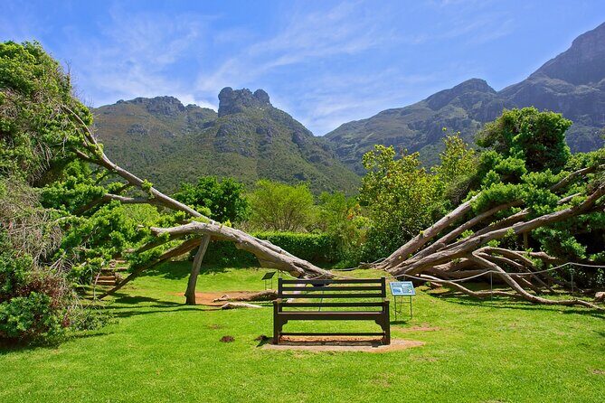 Kirstenbosch Garden, Bo-Kaap-Penguins & Cape of Good Hope Tour - FAQs
