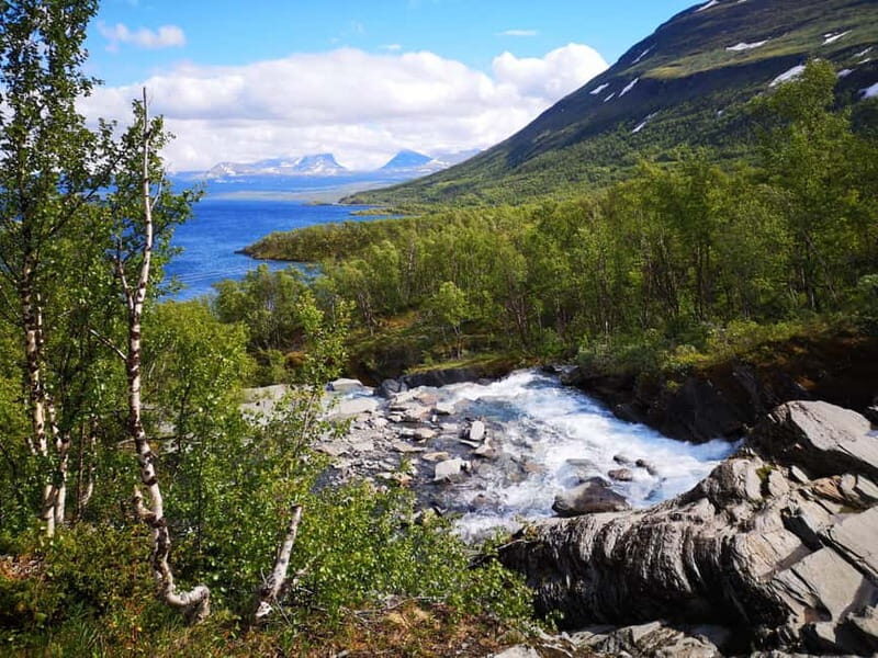 Kiruna: Abisko National Park Guided Day Tour with Lunch - An In-Depth Look at the Tour Experience