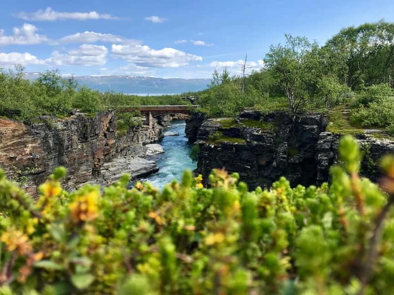 Kiruna: Abisko National Park Guided Day Tour with Lunch - Final Thoughts: Who Should Consider This Tour?