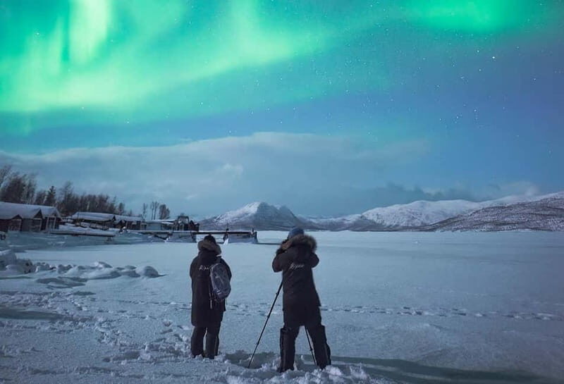 Kiruna: Abisko Northern Lights Tour with Dinner - What We Loved & What to Consider