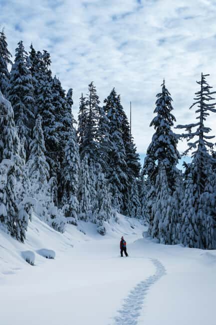 Kiruna: Daytime Snowshoe Hike - Introduction: A Snowy Adventure in Kiruna