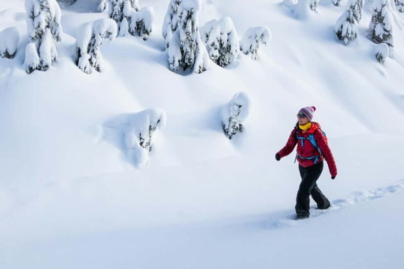 Kiruna: Daytime Snowshoe Hike - Who Should Consider This Experience?