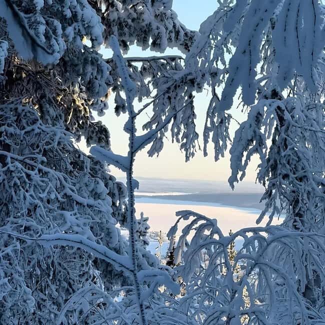 Kiruna: Daytime Snowshoe Hike - FAQ