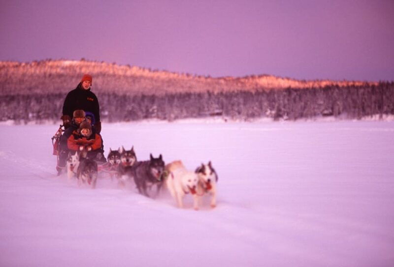 kiruna-northern-light-short-husky-tour-with-coffee