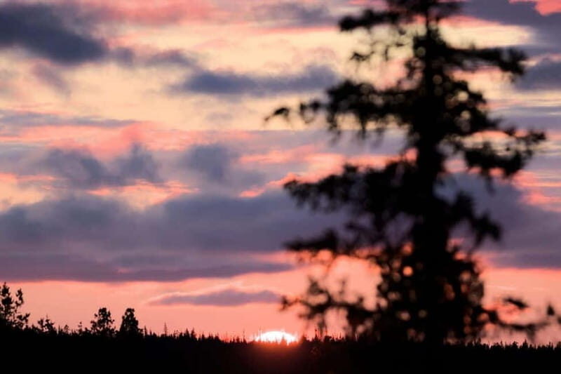 Kiruna: Northern Lights Dog Sled Tour with Swedish Fika - The Wearable Arctic: What to Expect from the Tour