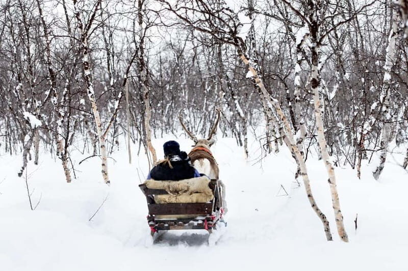 KIRUNA: Reindeer Sled Ride in the Countryside - Practical Details & Tips