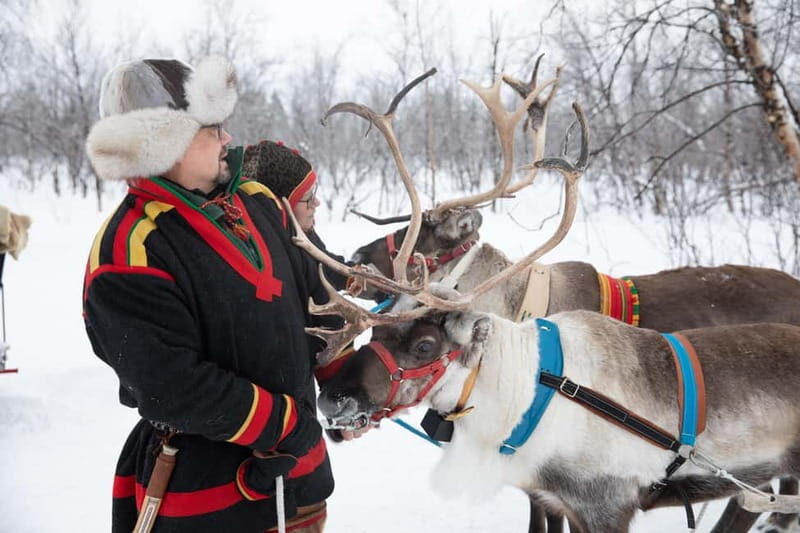 KIRUNA: Reindeer Sled Ride in the Countryside - FAQ