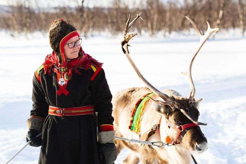 kiruna-sami-reindeer-experience