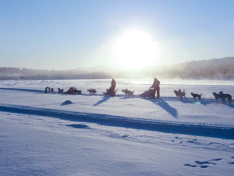 Kiruna: Self-drive Husky Morning Tour - An In-Depth Look at the Experience