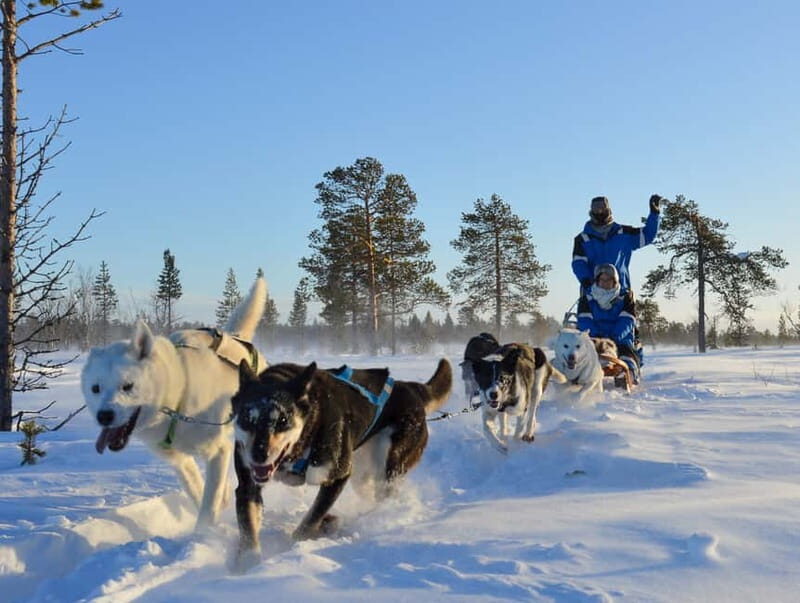 Kiruna: Self-drive Husky Morning Tour - Practical Tips