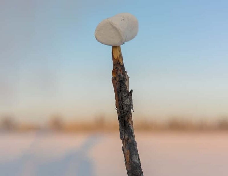 Kiruna: Snowshoe Hike & Ice fishing Tour - Traditional Fika and Light Meal by the Fire