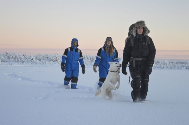Kiruna: Snowshoe Hike & Ice fishing Tour - The Experience’s Value and What to Expect