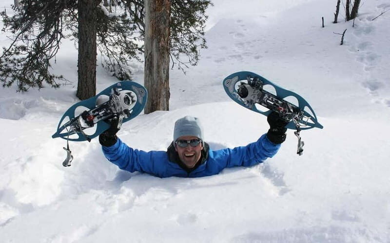 Kiruna: Snowshoe Trek with Aurora Hunt and Warm Beverage - The Experience in Detail