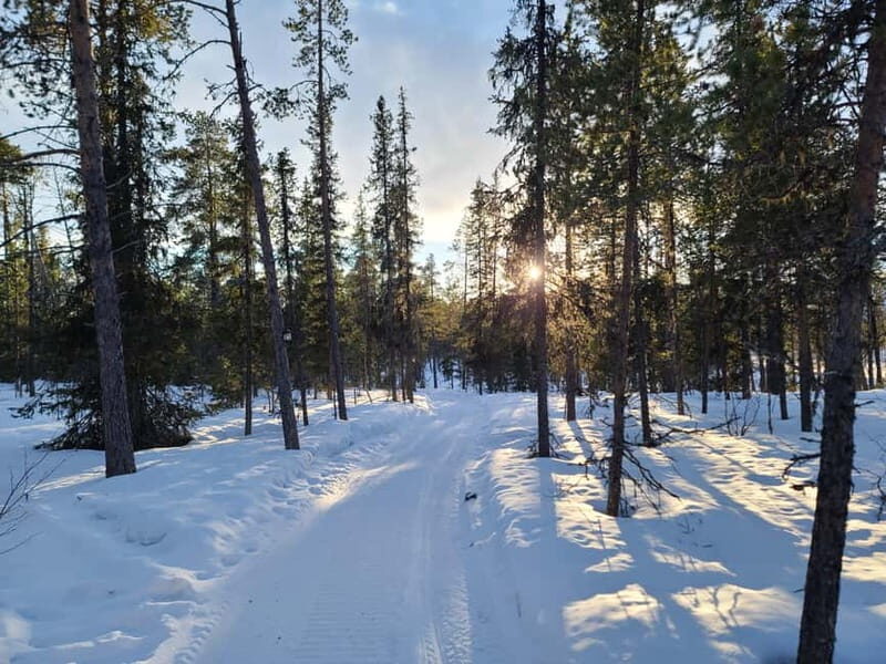 Kiruna: Snowshoe Trek with Warm Beverage and Sandwich - The Experience in Detail
