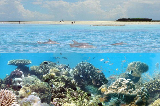 Kisite Marine Park Private Boat Snorkeling with breakfast & Lunch - Key Points