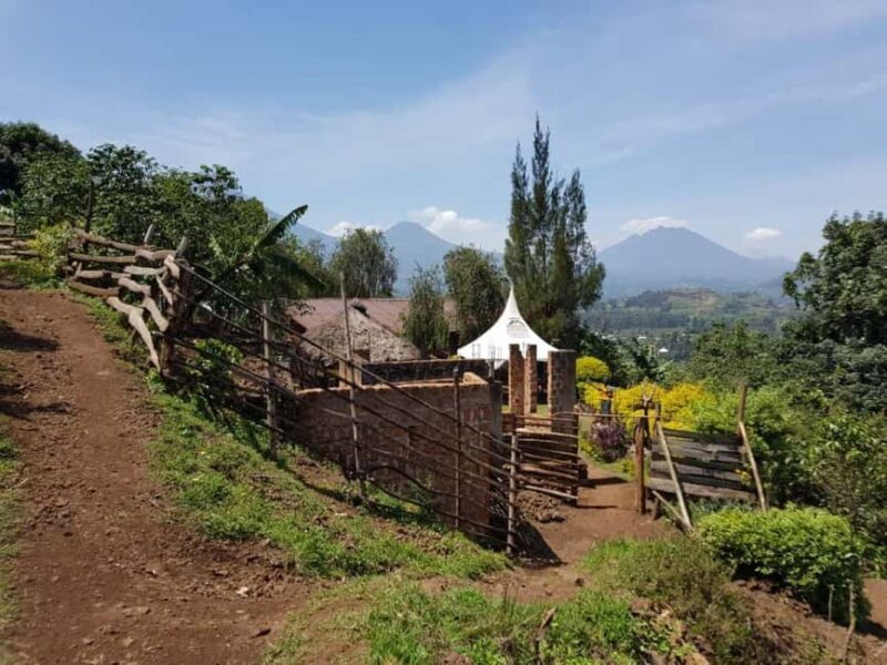 Kisoro: Coffee Village Tour with Hands-On Coffee Making - Key Points  