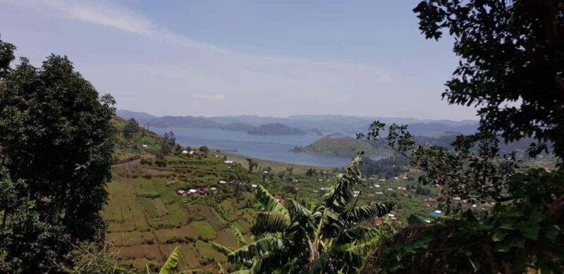 Kisoro: Coffee Village Tour with Hands-On Coffee Making - FAQs  