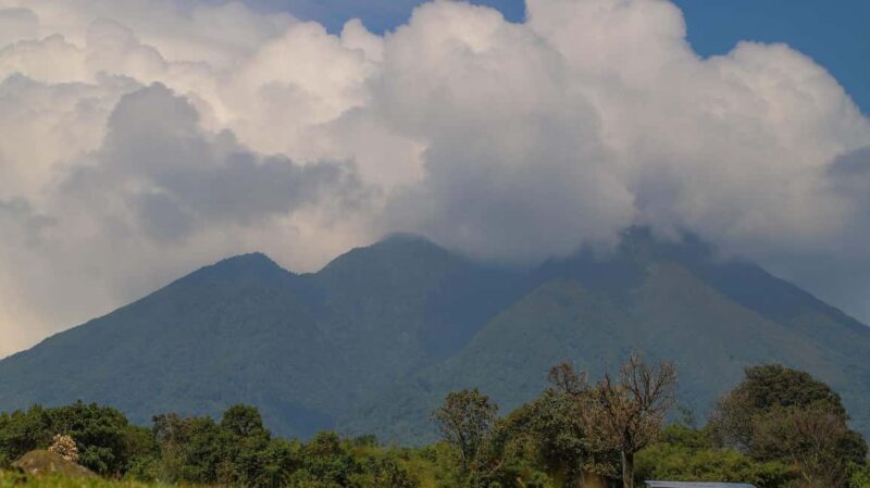 Kisoro: Hiking and Coffee Tour - The Sum Up  
