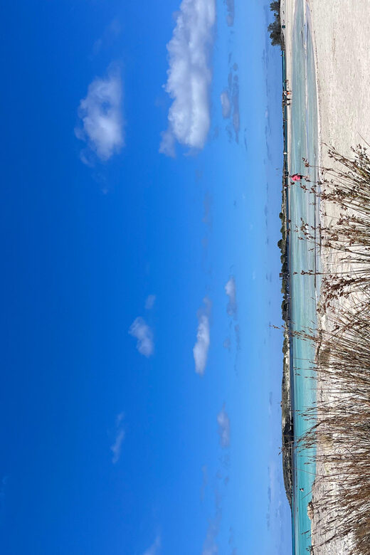 Kissamos: Elafonisi Beach Day Tour by MiniBus - Who Will Love This Tour?