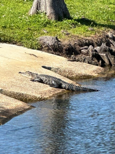 kissimmee-4-hour-all-electric-mountain-bike-lakefront-tour