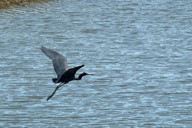 kissimmee-and-st-cloud-beach-tour-on-all-electric-trike-4-hrs