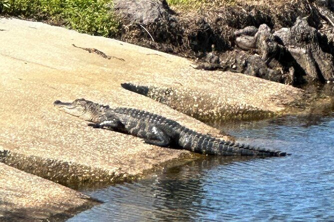 kissimmee-and-st-cloud-beach-tour-on-all-electric-trike-8-hrs