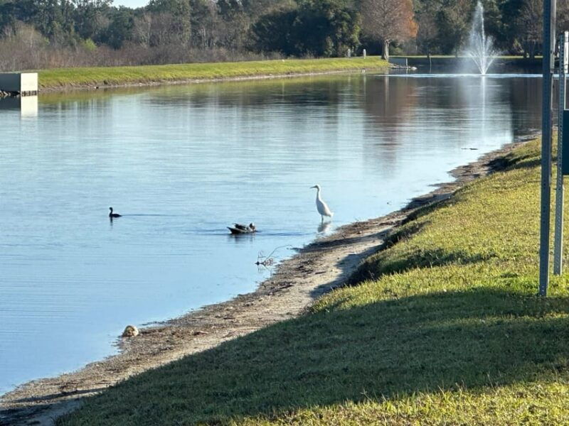 kissimmee-experience-wild-florida-nature-all-electric-bike