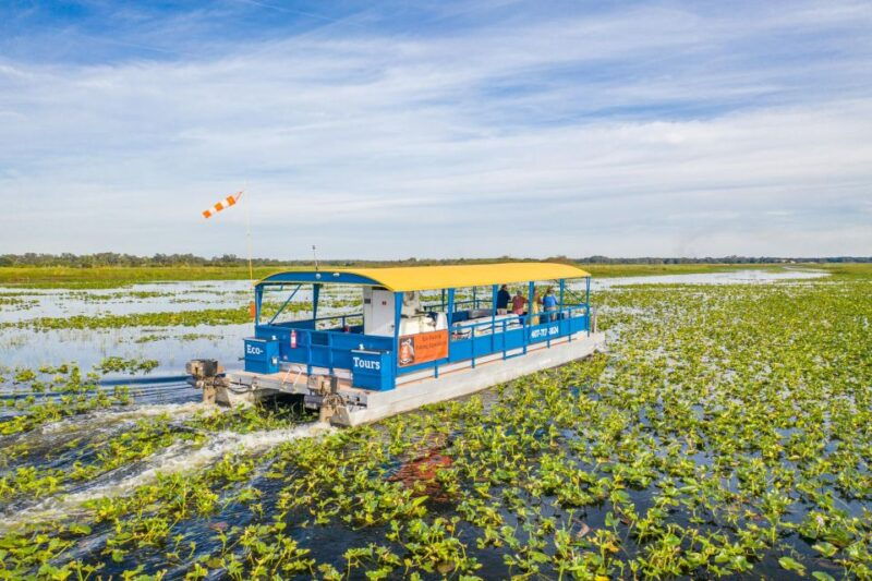 kissimmee-florida-everglades-pontoon-boat-tour