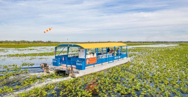 kissimmee-florida-everglades-pontoon-boat-tour