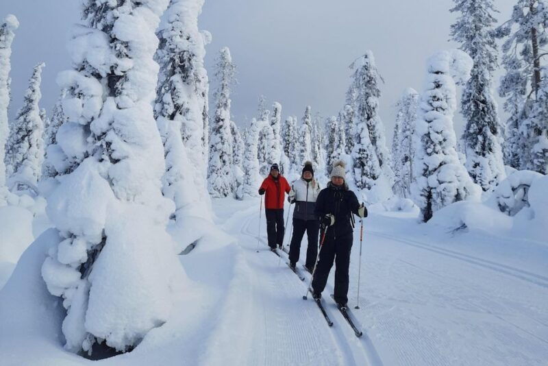 kittila-lapland-levi-cross-country-skiing-for-beginners
