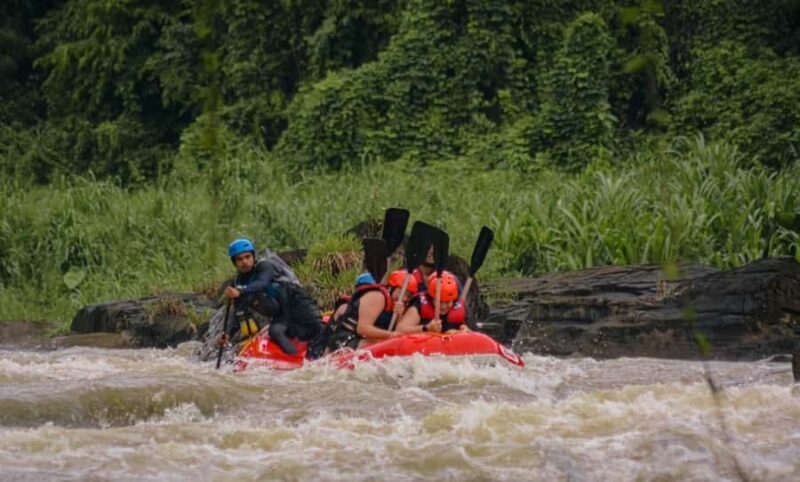 Kitulgala: White Water Rafting on the Kelani River - Key Points