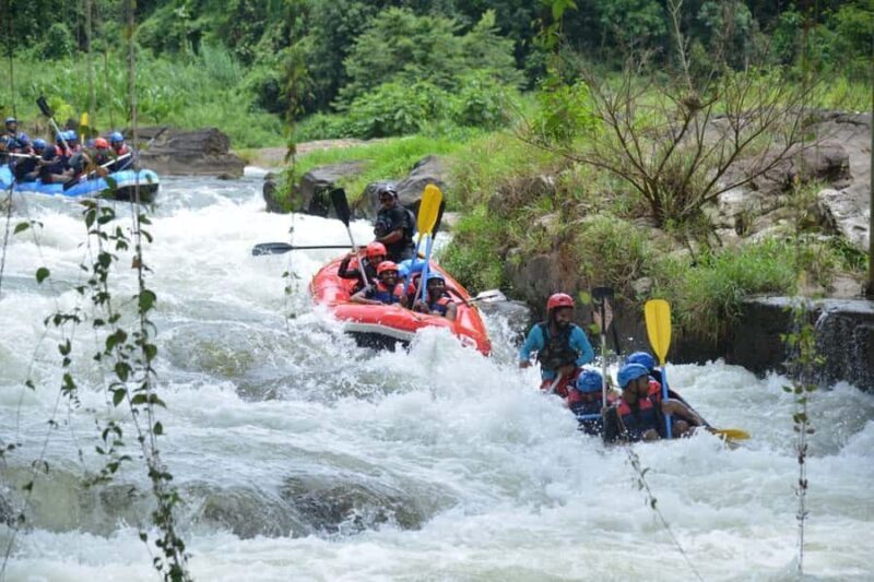 Kitulgala: White Water Rafting on the Kelani River - The Sum Up