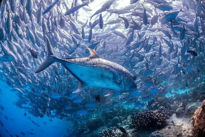 Kiulu White Water Rafting Gred I-II (Beginner) - FAQ