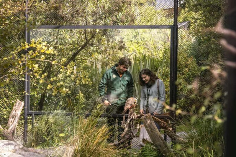 Kiwi Park Admission Ticket - Who Will Love Kiwi Park?