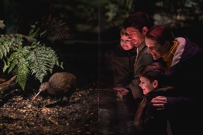 Kiwi Park Queenstown Admission - FAQ